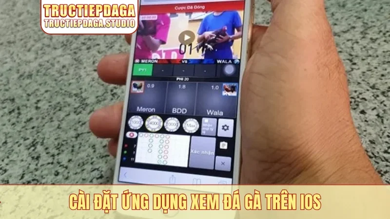 Cài đặt ứng dụng xem đá gà trên iOS