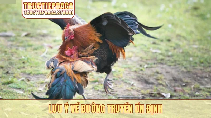 Lưu ý về đường truyền ổn định