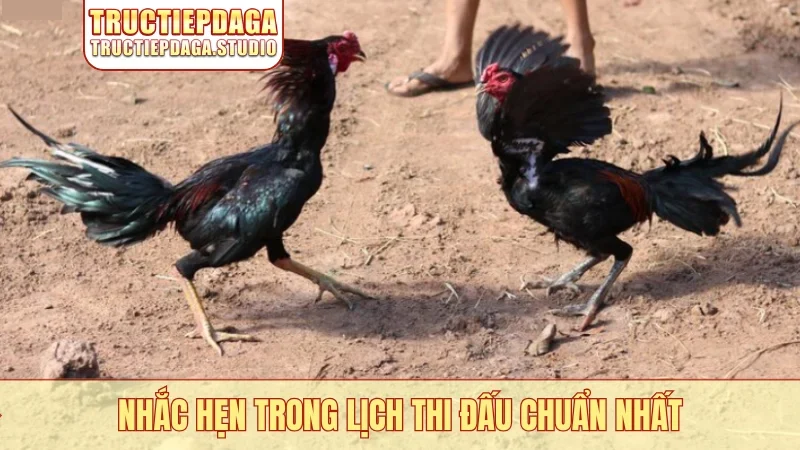 Nhắc hẹn trong lịch thi đấu chuẩn nhất