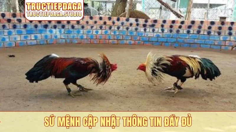 Sứ mệnh cập nhật thông tin đầy đủ