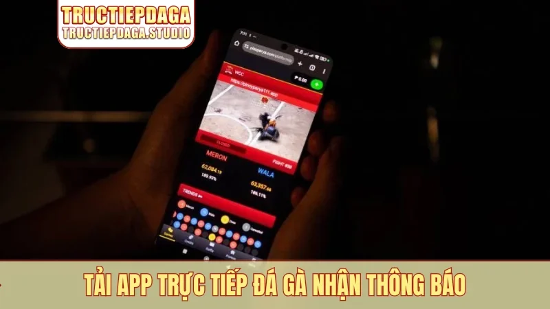 Tải app trực tiếp đá gà nhận thông báo