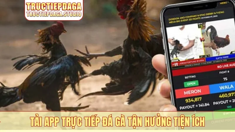 Tải app trực tiếp đá gà tận hưởng tiện ích