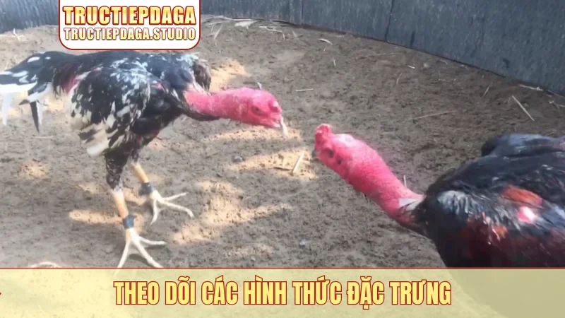 Theo dõi các hình thức đặc trưng