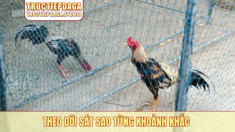 Theo dõi sát sao từng khoảnh khắc